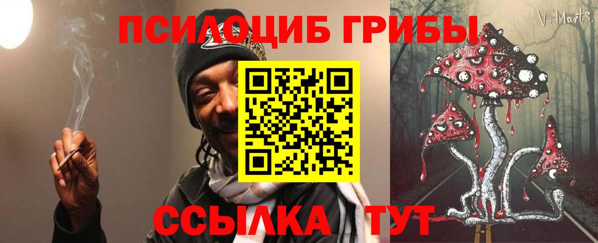 Михайловск  Галлюциногенные грибы MAGIC MUSHROOMS  Вход с VPN 
